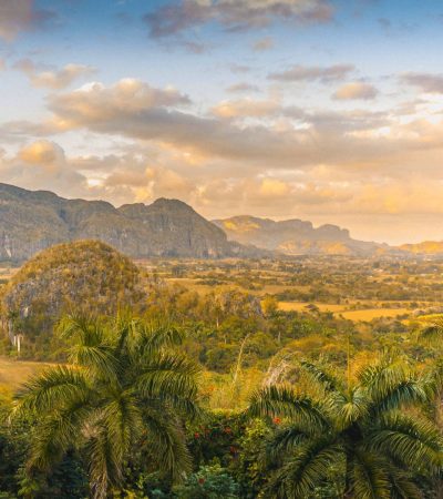 VInALES